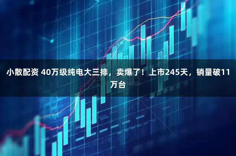 小散配资 40万级纯电大三排，卖爆了！上市245天，销量破11万台